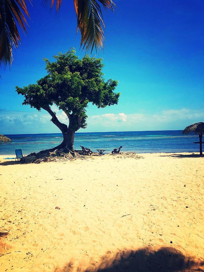 Ti Kaz Effet Mer แซงต์-ฟรองซัวส์ ภายนอก รูปภาพ