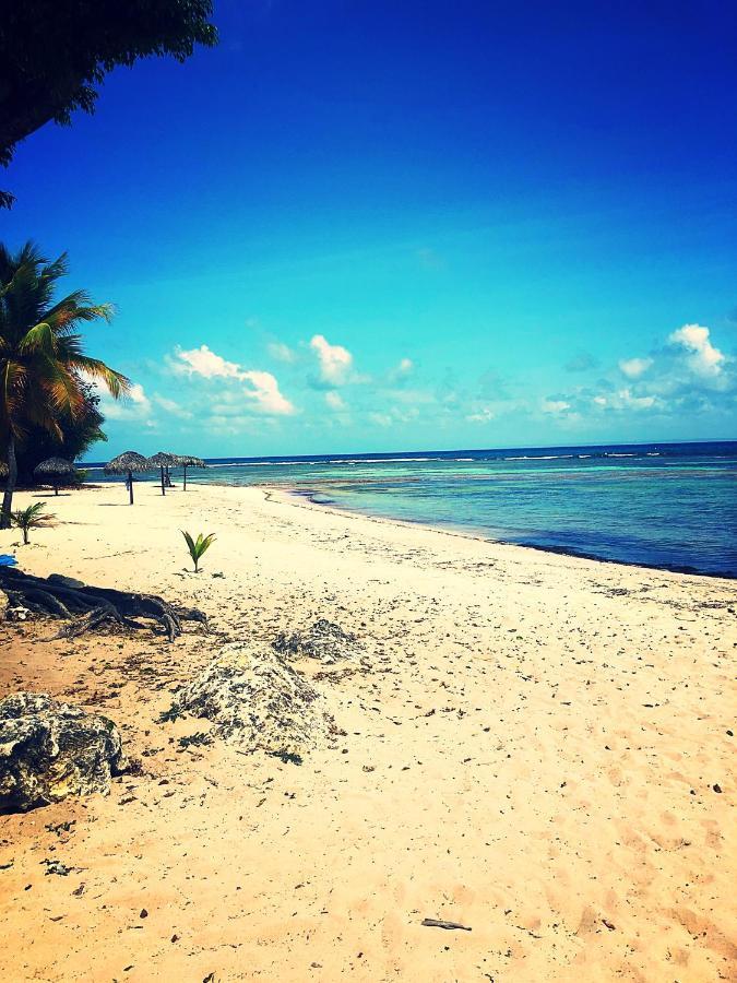 Ti Kaz Effet Mer แซงต์-ฟรองซัวส์ ภายนอก รูปภาพ